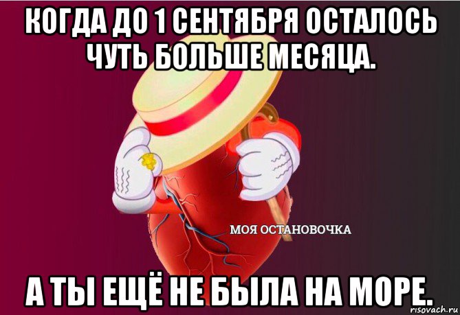 когда до 1 сентября осталось чуть больше месяца. а ты ещё не была на море., Мем   Моя остановочка