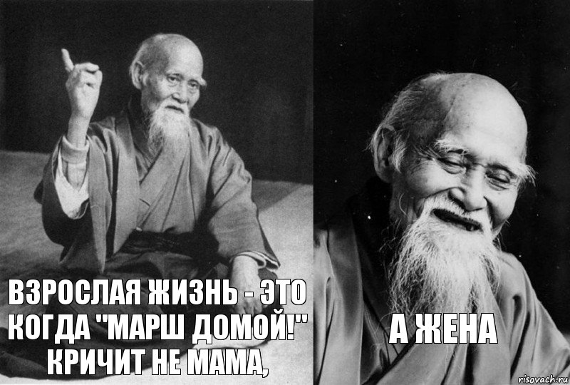 Взрослая жизнь - это когда "Марш домой!" кричит не мама, а жена, Комикс Мудрец-монах (2 зоны)