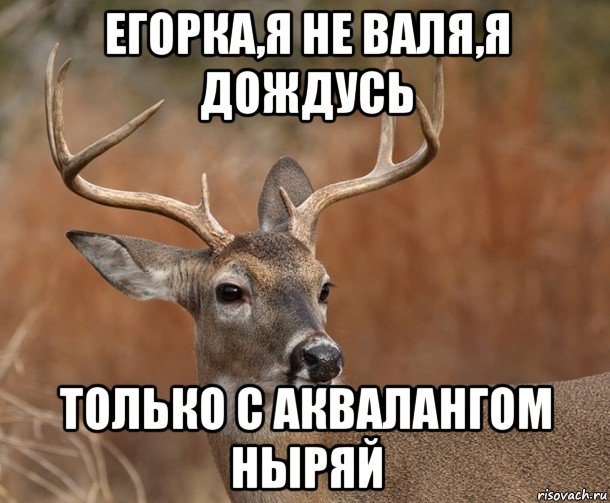 егорка,я не валя,я дождусь только с аквалангом ныряй, Мем  Наивный Олень v2