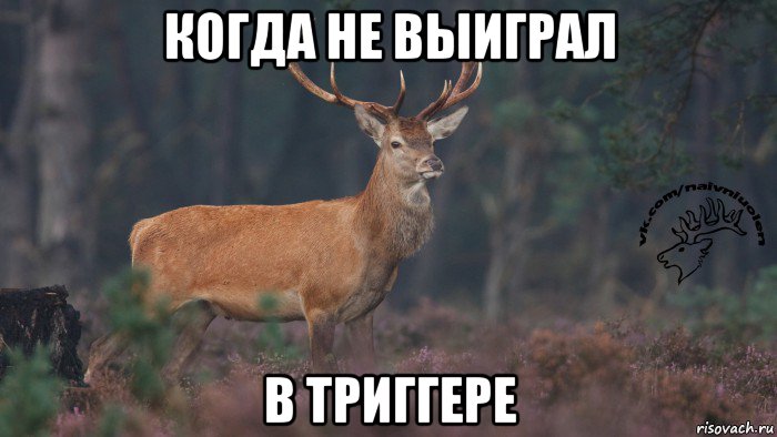 когда не выиграл в триггере