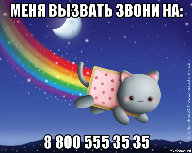 меня вызвать звони на: 8 800 555 35 35, Мем Нян кэт