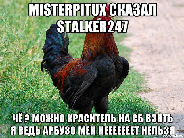 misterpitux сказал stalker247 чё ? можно краситель на сб взять я ведь арбузо мен нееееееет нельзя, Мем петух