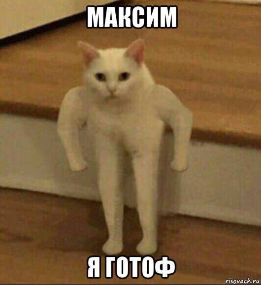 максим я готоф, Мем  Полукот