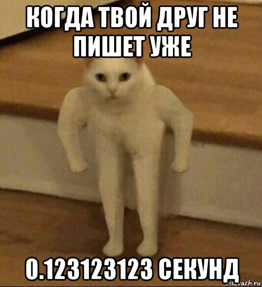 когда твой друг не пишет уже 0.123123123 секунд, Мем  Полукот