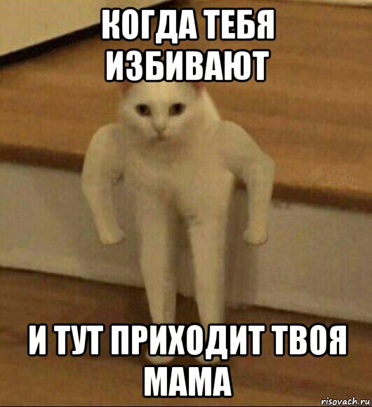 Тут твоя