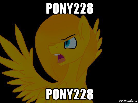 pony228 pony228