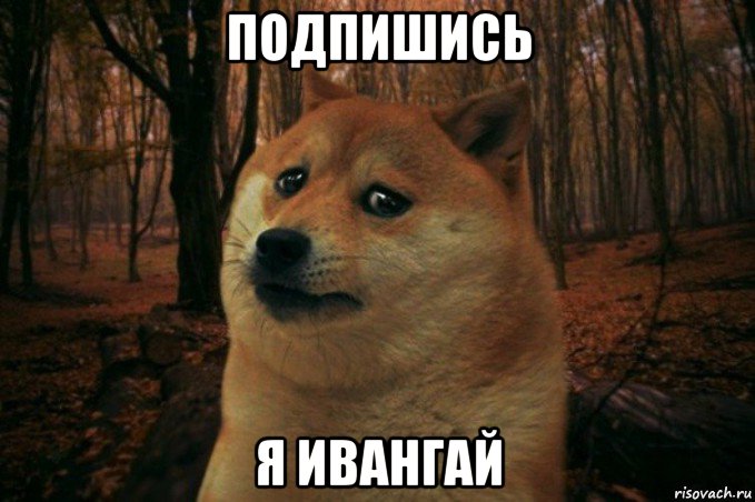 подпишись я ивангай, Мем SAD DOGE