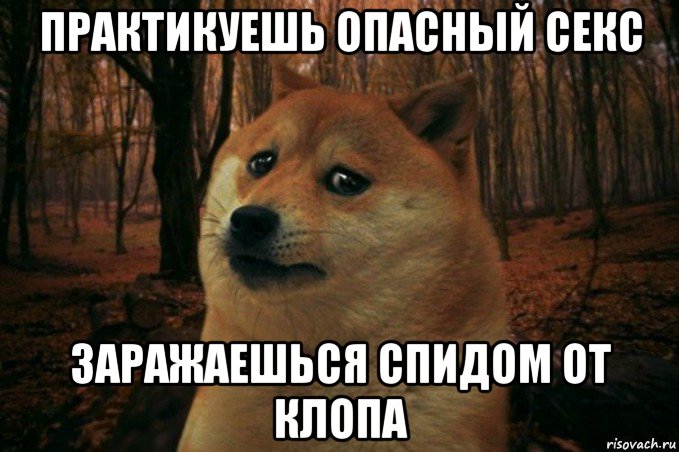 практикуешь опасный секс заражаешься спидом от клопа, Мем SAD DOGE