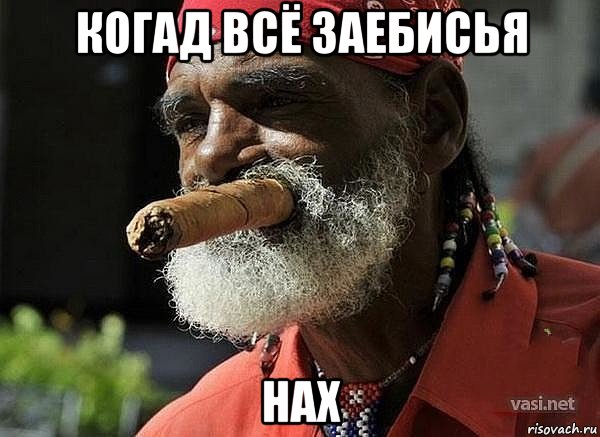Ебаться хочешь шалава мем когад всё заебисья нах, Мем Шалав - Рисовач .Ру