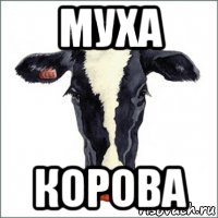 Мем с коровой. Корова Мем. Мемы с коровами.