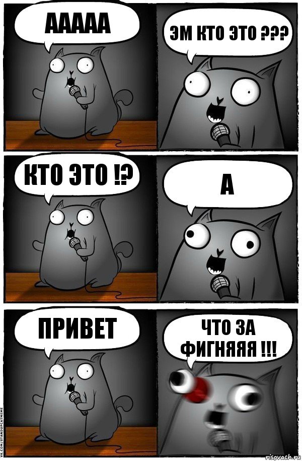 ААААА Эм кто это ??? Кто это !? А Привет ЧТО ЗА ФИГНЯЯЯ !!!, Комикс  Стендап-кот