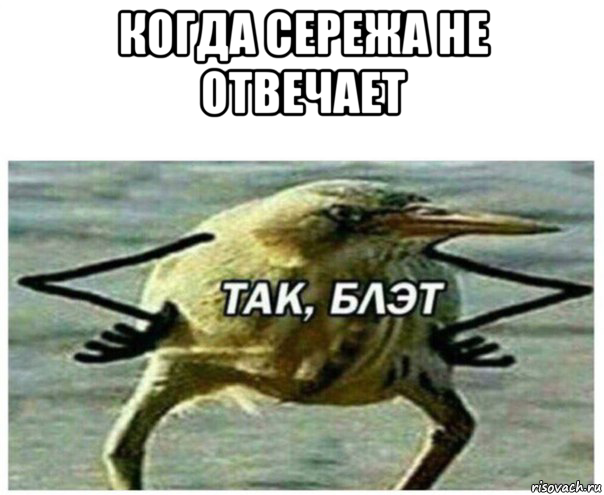 когда сережа не отвечает 