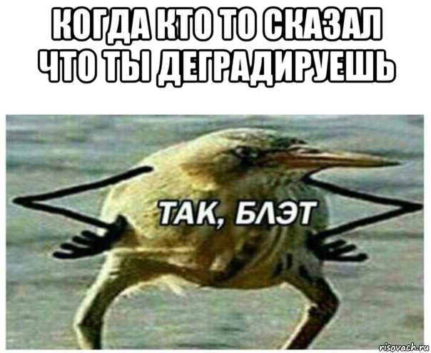 когда кто то сказал что ты деградируешь 