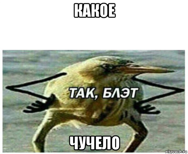 какое чучело, Мем Так блэт