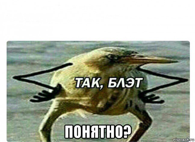  понятно?, Мем Так Блэт