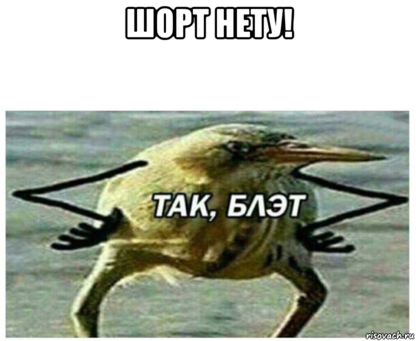 шорт нету! 