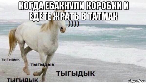 когда ебакнули коробки и едете жрать в татмак , Мем   Тыгыдык