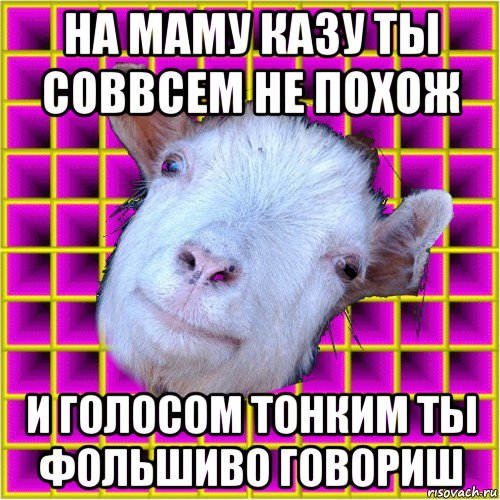 на маму казу ты соввсем не похож и голосом тонким ты фольшиво говориш, Мем типичная коза