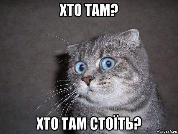 хто там? хто там стоїть?, Мем  удивлённый кот