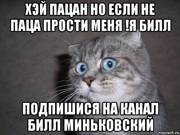 хэй пацан но если не паца прости меня !я билл подпишися на канал билл миньковский, Мем  удивлённый кот