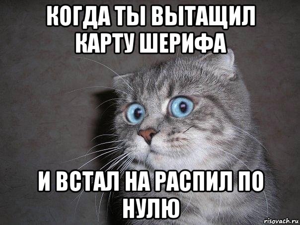 когда ты вытащил карту шерифа и встал на распил по нулю, Мем  удивлённый кот