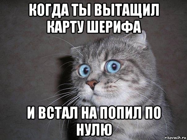 когда ты вытащил карту шерифа и встал на попил по нулю, Мем  удивлённый кот