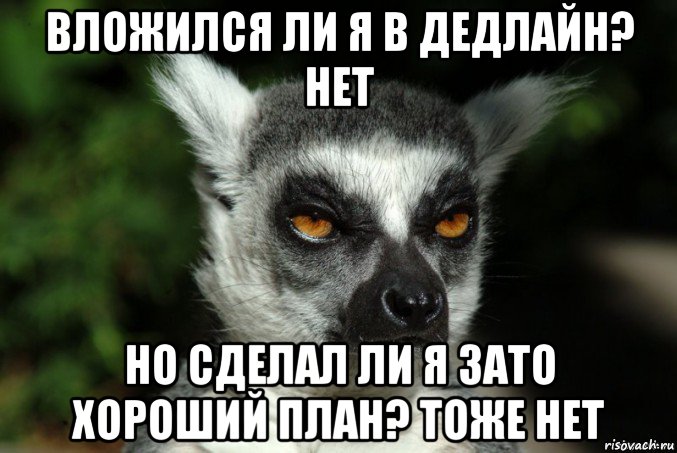 Зато я хорошо умею. Я збагоен. Дедлайн Мем. Я И дедлайн Мем. Дедлайн Мем собака.