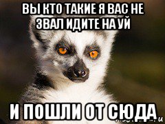 вы кто такие я вас не звал идите на уй и пошли от сюда, Мем Я збагоен