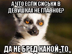 а что если сиськи в девушках не главное? да не бред какой-то, Мем Я збагоен