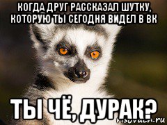 когда друг рассказал шутку, которую ты сегодня видел в вк ты чё, дурак?, Мем Я збагоен