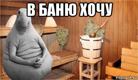 в баню хочу 