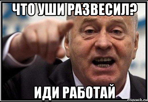 что уши развесил? иди работай, Мем жириновский ты