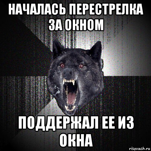 началась перестрелка за окном поддержал ее из окна