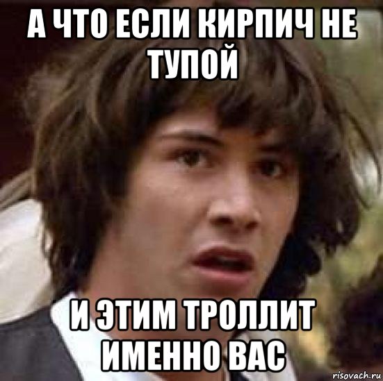 а что если кирпич не тупой и этим троллит именно вас, Мем А что если (Киану Ривз)