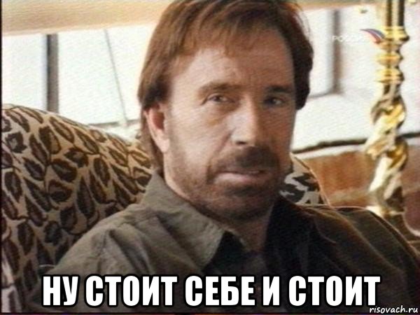  ну стоит себе и стоит, Мем чак норрис