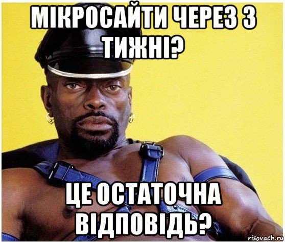 мікросайти через 3 тижні? це остаточна відповідь?, Мем Черный властелин