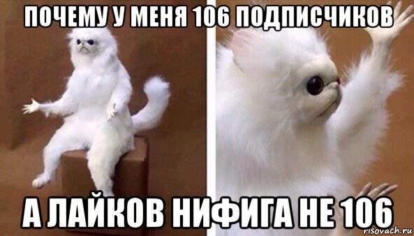 почему у меня 106 подписчиков а лайков нифига не 106, Мем Чучело кота