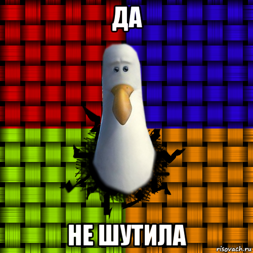 да не шутила