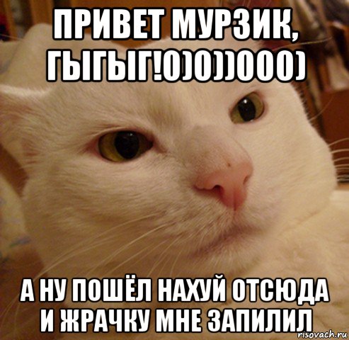 привет мурзик, гыгыг!0)0))000) а ну пошёл нахуй отсюда и жрачку мне запилил, Мем Дерзкий котэ