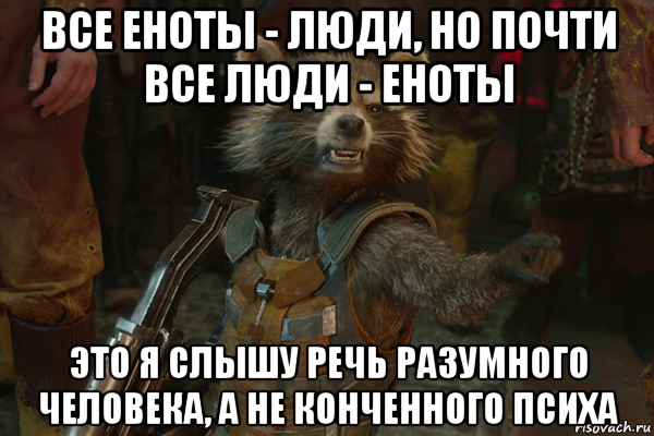 Енот крутится мем. Енот Мем. Енот ракета прикол. Мемы с енотами. Человек енот.