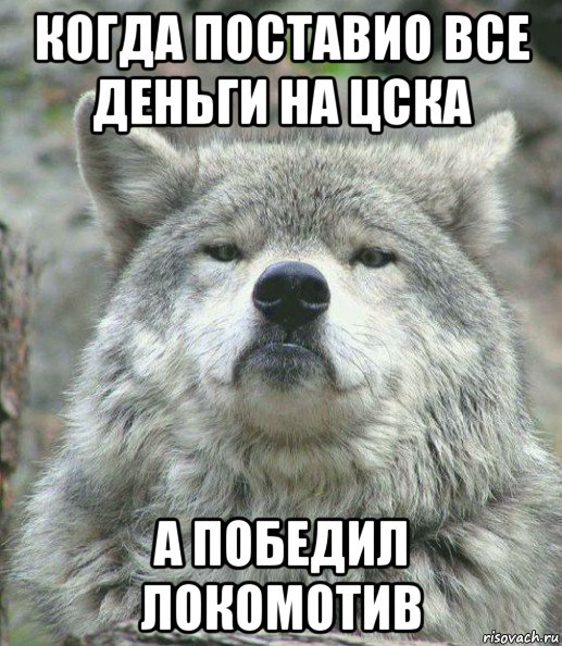 когда поставио все деньги на цска а победил локомотив, Мем    Гордый волк