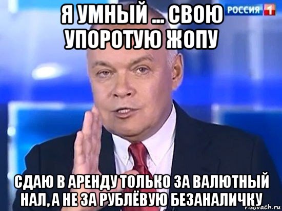 я умный ... свою упоротую жопу сдаю в аренду только за валютный нал, а не за рублёвую безаналичку, Мем Киселёв 2014