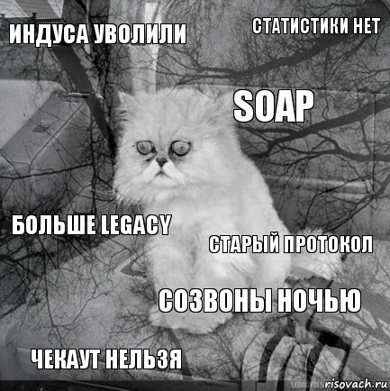 Индуса уволили Старый протокол Soap Чекаут нельзя Больше legacy Статистики нет Созвоны ночью   , Комикс  кот безысходность