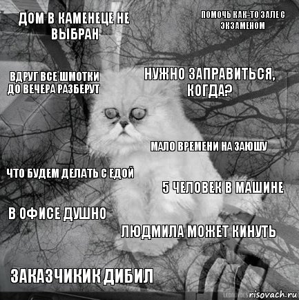 Дом в Каменеце не выбран 5 человек в машине нужно заправиться, когда? заказчикик дибил что будем делать с едой помочь как-то зале с экзаменом Людмила может кинуть вдруг все шмотки до вечера разберут в офисе душно Мало времени на заюшу, Комикс  кот безысходность