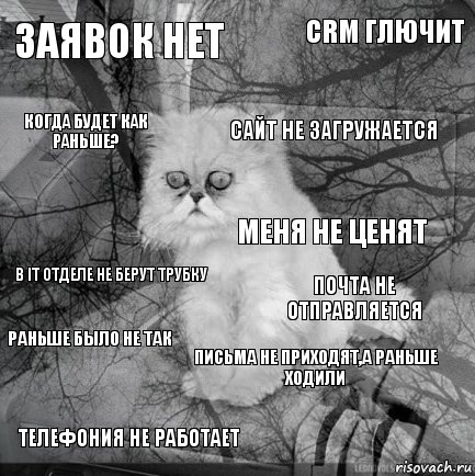 заявок нет почта не отправляется сайт не загружается телефония не работает в it отделе не берут трубку CRM глючит письма не приходят,а раньше ходили когда будет как раньше? раньше было не так меня не ценят, Комикс  кот безысходность