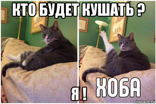 кто будет кушать ? я !, Комикс Кот Хоба