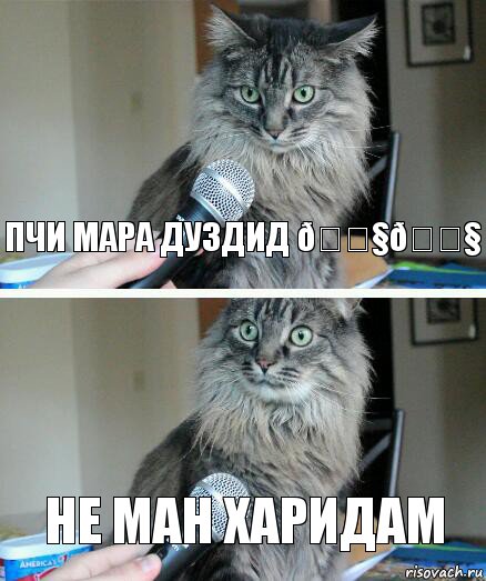 Комикс  кот с микрофоном