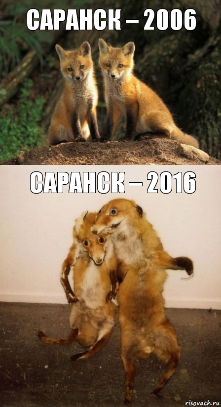 Саранск – 2006 Саранск – 2016, Комикс Лисицы