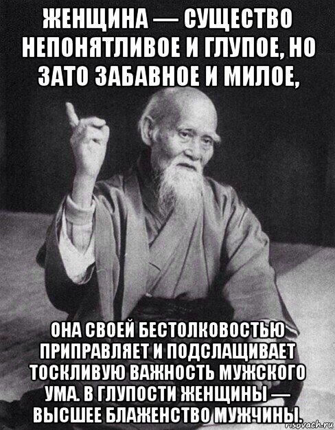 женщина — существо непонятливое и глупое, но зато забавное и милое, она своей бестолковостью приправляет и подслащивает тоскливую важность мужского ума. в глупости женщины — высшее блаженство мужчины., Мем Монах-мудрец (сэнсей)