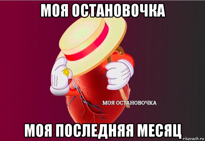 моя остановочка моя последняя месяц, Мем   Моя остановочка